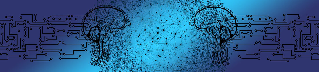 Die Wirkung von Meditation auf neuronale Prozesse