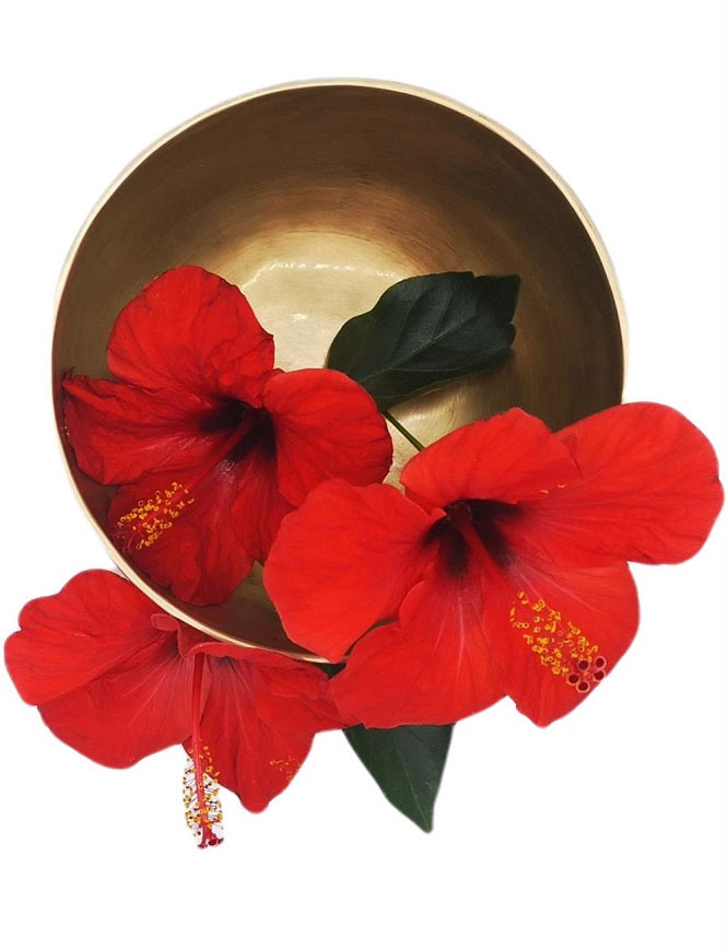 Klangschale matt ø 10,8 cm 310g